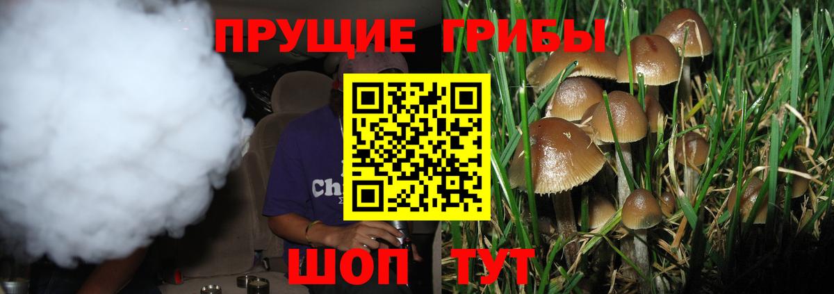 Галлюциногенные грибы Psilocybine cubensis  Вход с VPN  Людиново 